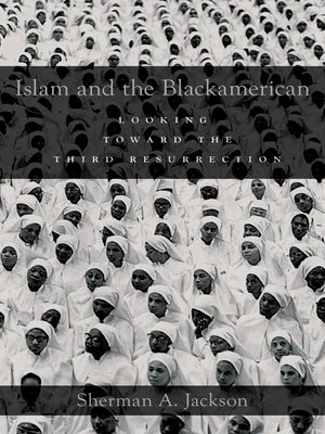 cover image of Islam and the Blackamerican
